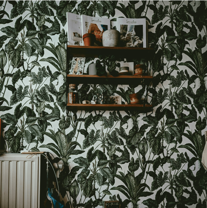 Home Decor & Wallpaper